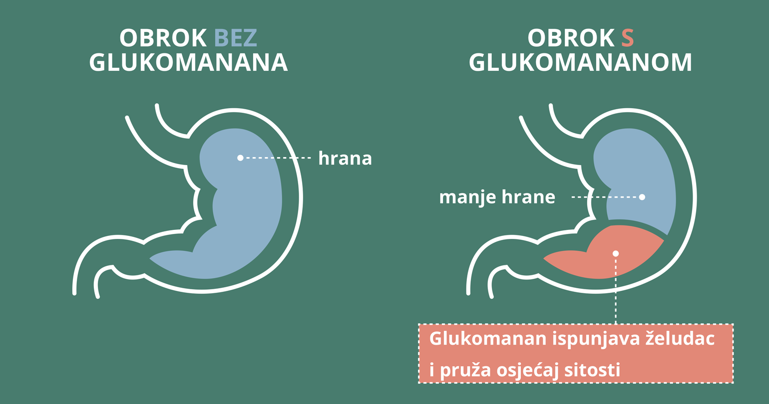Glukomannan - Kako djeluje?